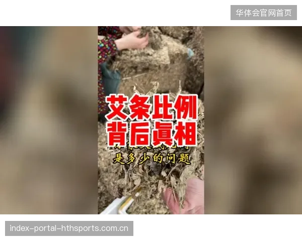 “误导”背后的真相：为什么你的认知可能被轻易绕过？